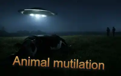 et ufo